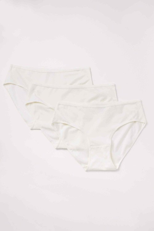Pack of 3 neutral colored high waisted panties